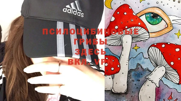 ALPHA PVP Армянск