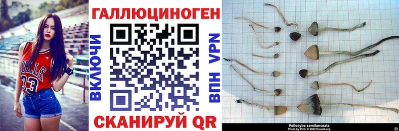 Псилоцибиновые грибы Cubensis  hydra tor  Петушки 