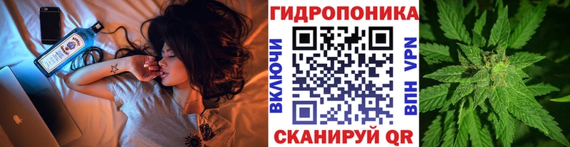 kraken вход  Петушки  Канабис THC 21% 